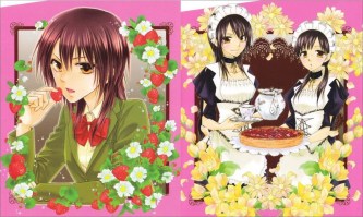 Kaicho wa Maid sama 10 (Medium)